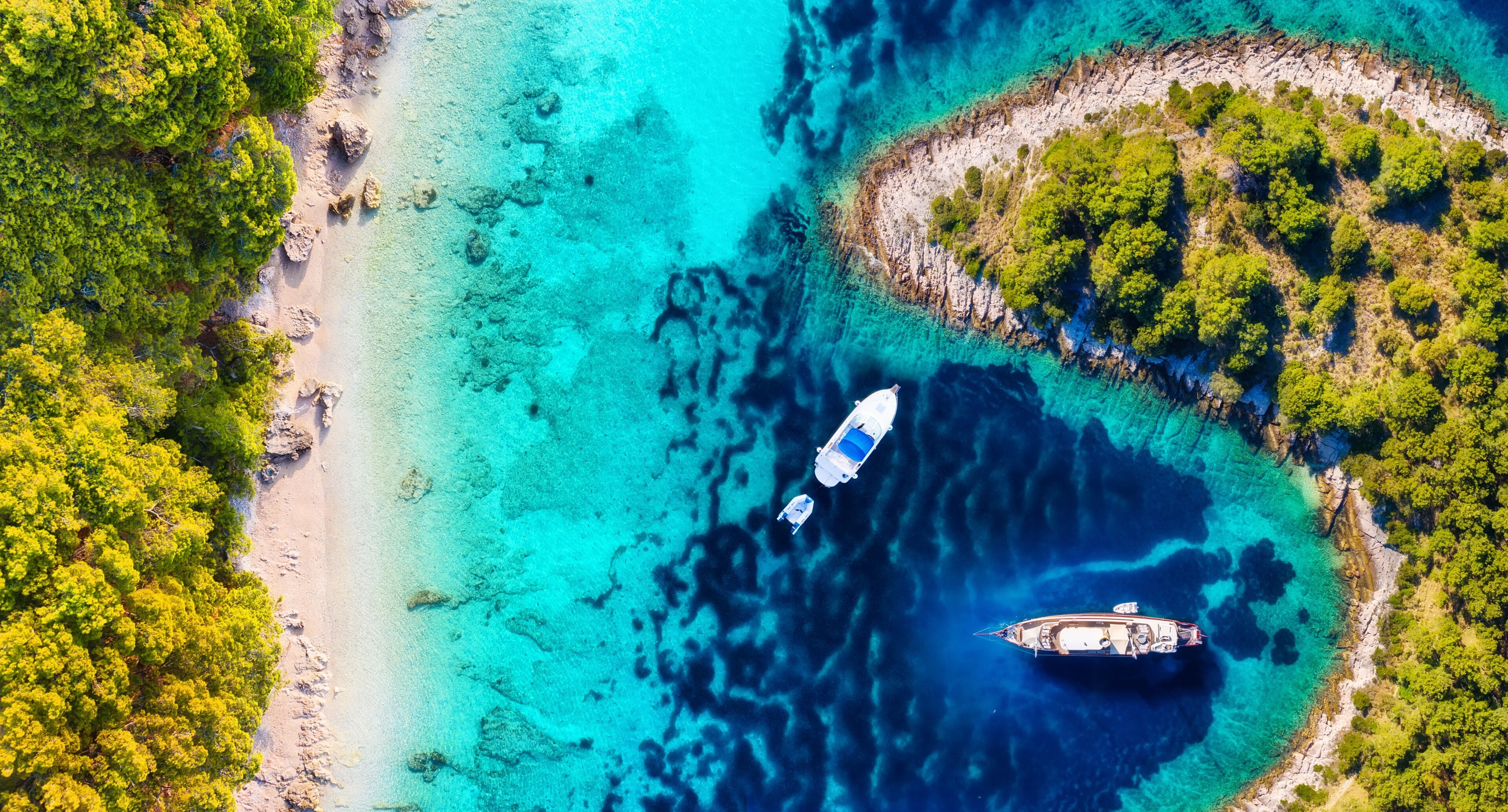 Omis