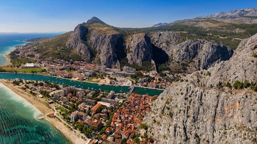 Omis