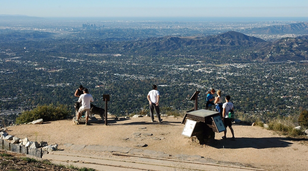 Angeles National Forest