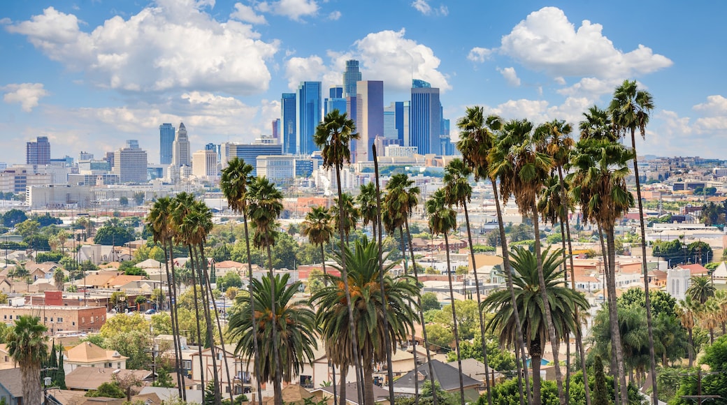 Beautiful cloudy day of Los Angeles downtown skyline and palm trees in foreground