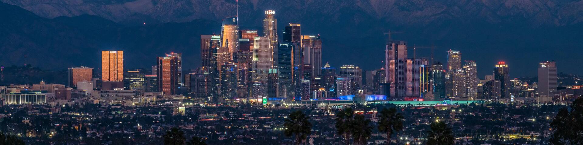 Moonlit Los Angeles