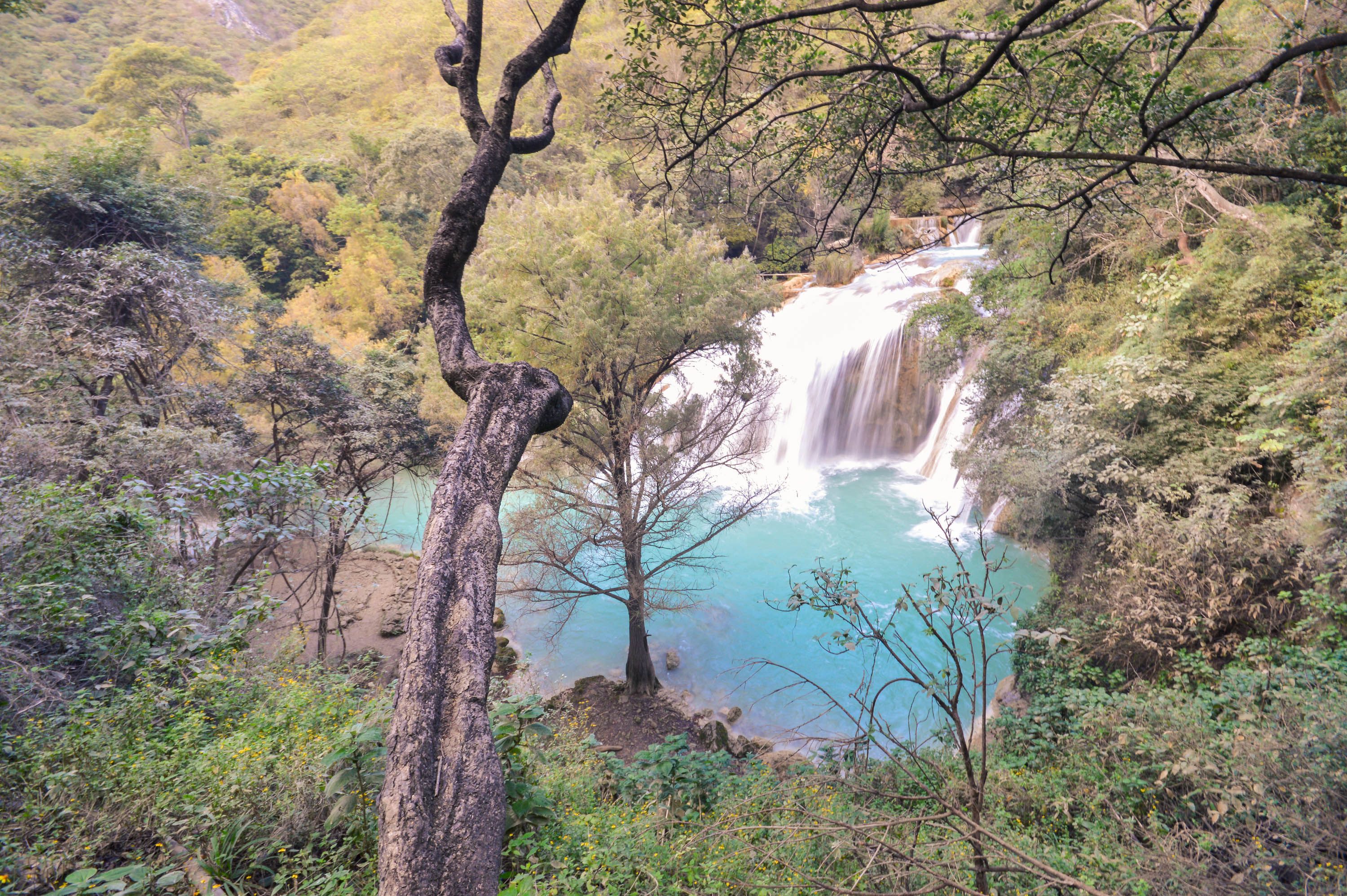 A waterfall cascading into a turquoise pool surrounded by dense forest.