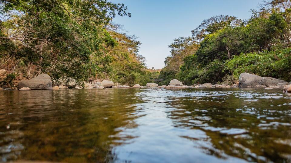A river with clear water, surrounded by rocks and dense green foliage.