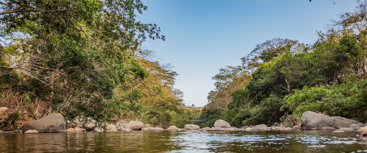 A river with clear water, surrounded by rocks and dense green foliage.