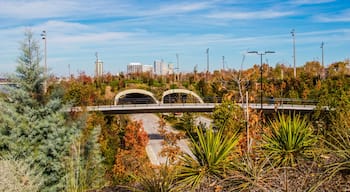 Skyline of Downtown Tulsa from the top on the south tunnel over Riverside Drive close to the Arkansas River in Autumn
