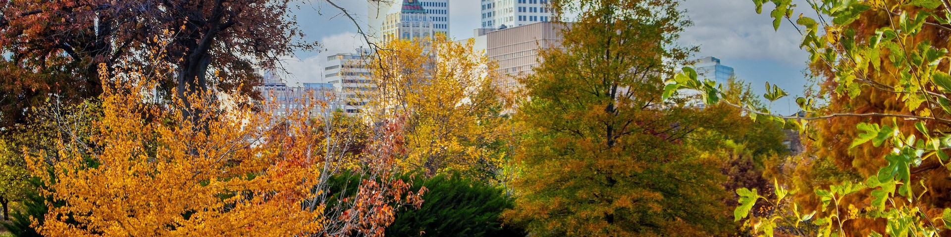 View of city with vintage skyscrapters from park with curving path through colorful autum trees
