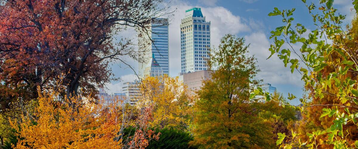 A park with autumn foliage, a pathway, and city buildings in the background.