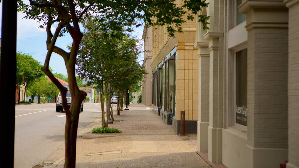 A tree-lined sidewalk with buildings on one side and a street on the other.