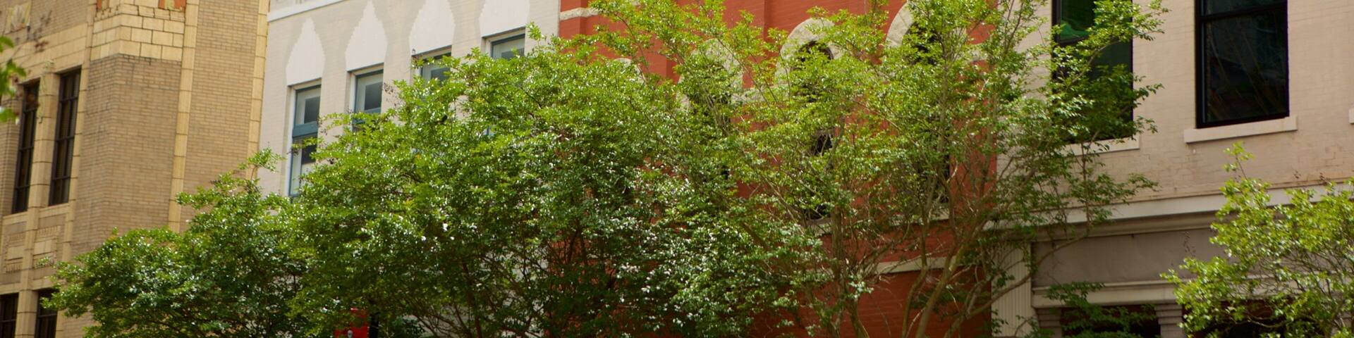 Mississippi Gulf Coast showing heritage elements