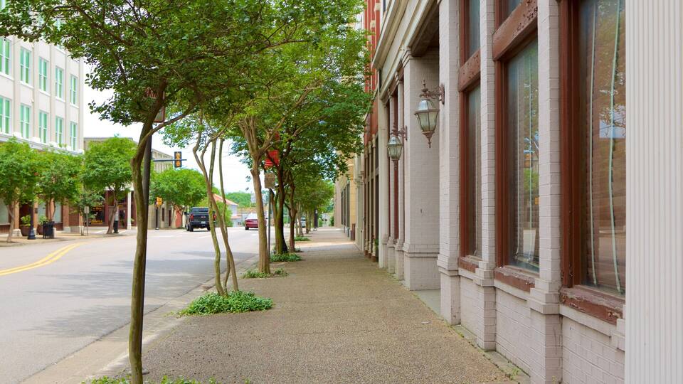 A tree-lined sidewalk with buildings on one side and a street on the other.