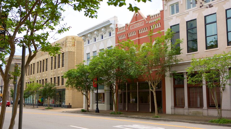 A street lined with historic buildings, including a red brick building with 'T.J. Jackson & Co.' signage.