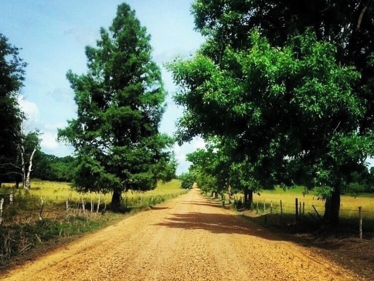 Nothing like hittin a #DirtRoad #NoxubeeRefuge #CollegeDays #OnTheRoad