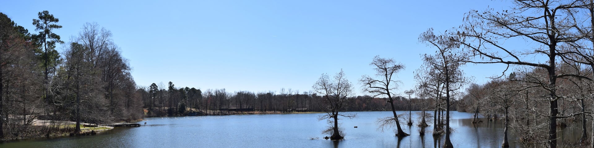 Cypress trees in Spring Lake in Wall Doxey State Park, Mississippi
