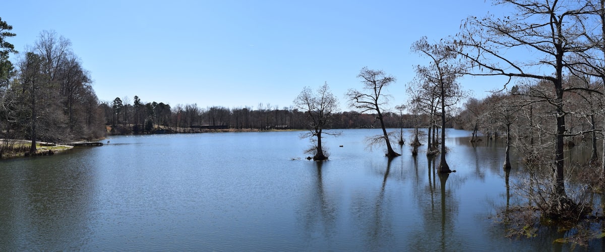 A calm lake surrounded by trees and a clear sky.