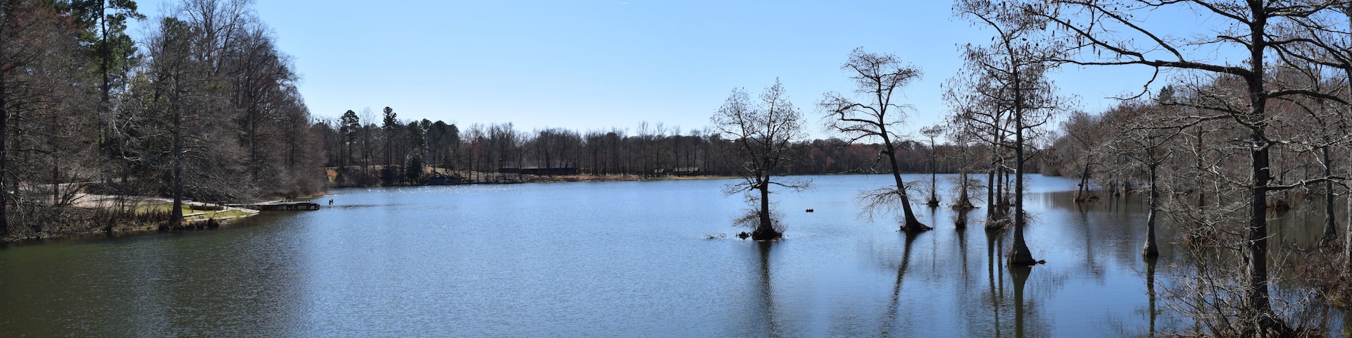 A calm lake surrounded by trees and a clear sky.