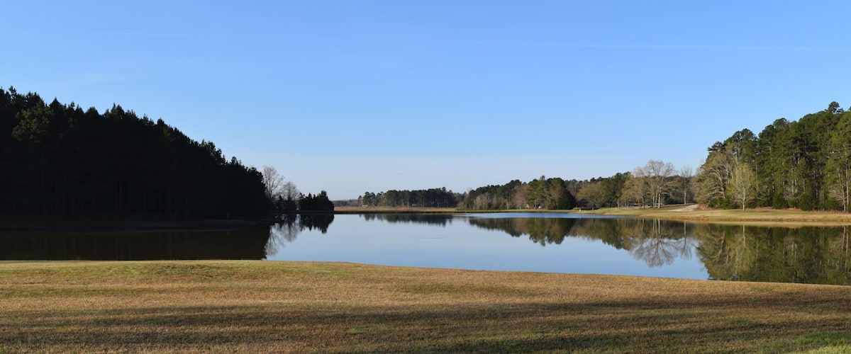 A calm lake surrounded by dense forests and a clear sky.