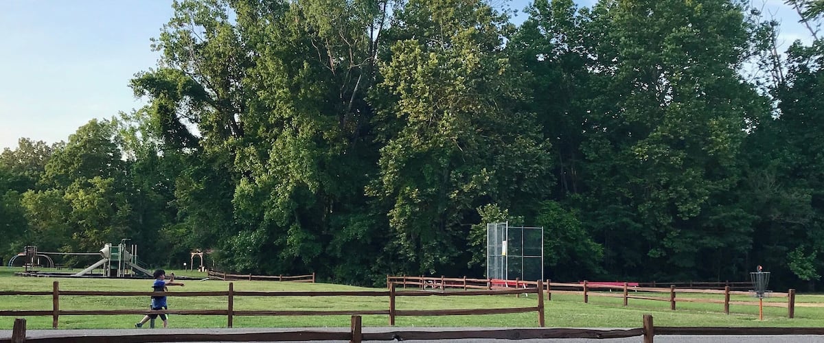 A park with a fenced area, playground equipment, and trees.