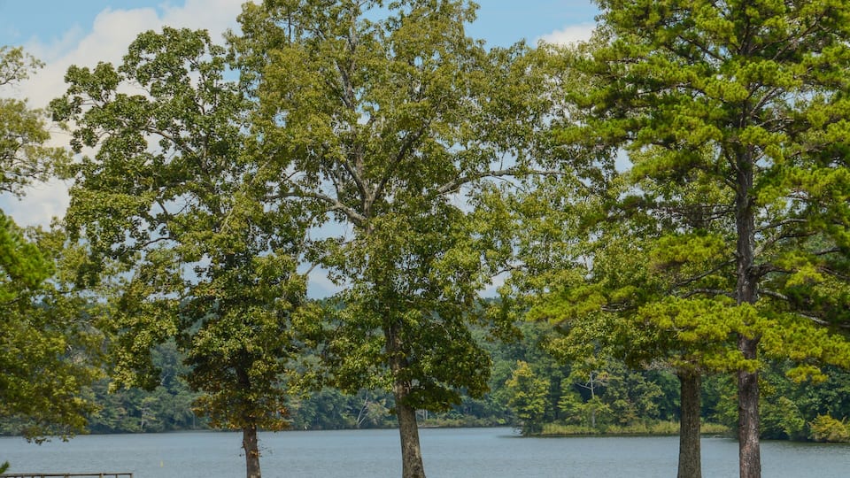 Beautiful view of Lake Lamar Bruce State Park in Saltillo, Lee County, Mississippi