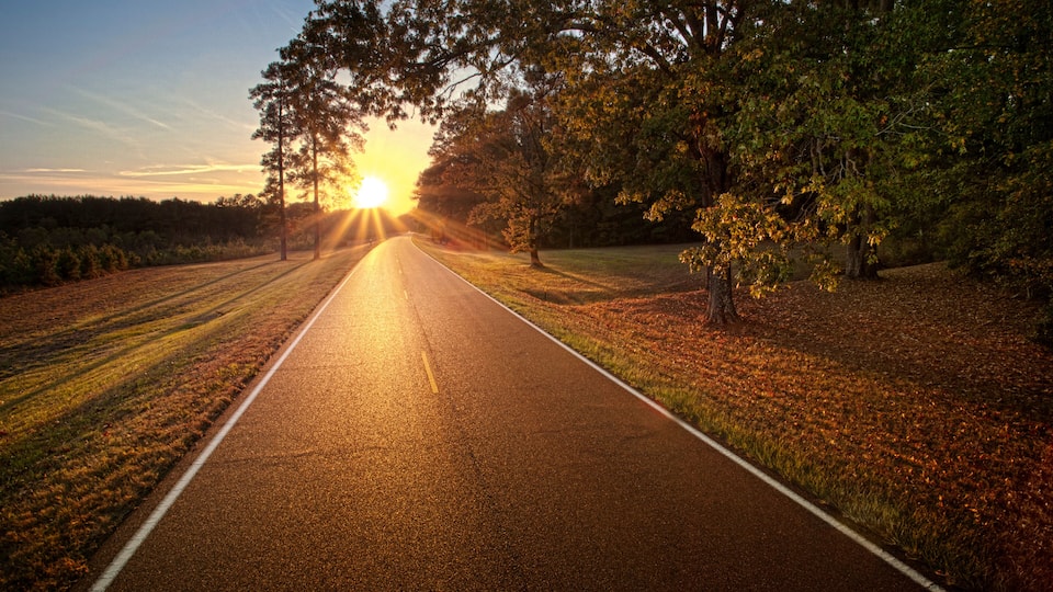 A road flanked by trees and grass with the sun setting in the distance.