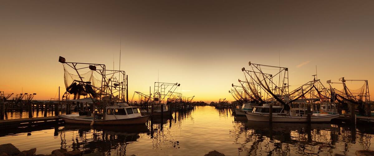 A harbor at sunset with fishing boats docked and their nets extended into the water.