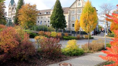 Kloster, St. Bonifatius Kloster, Klosterpark, Huenfeld, Hessen, Deutschland, Europa