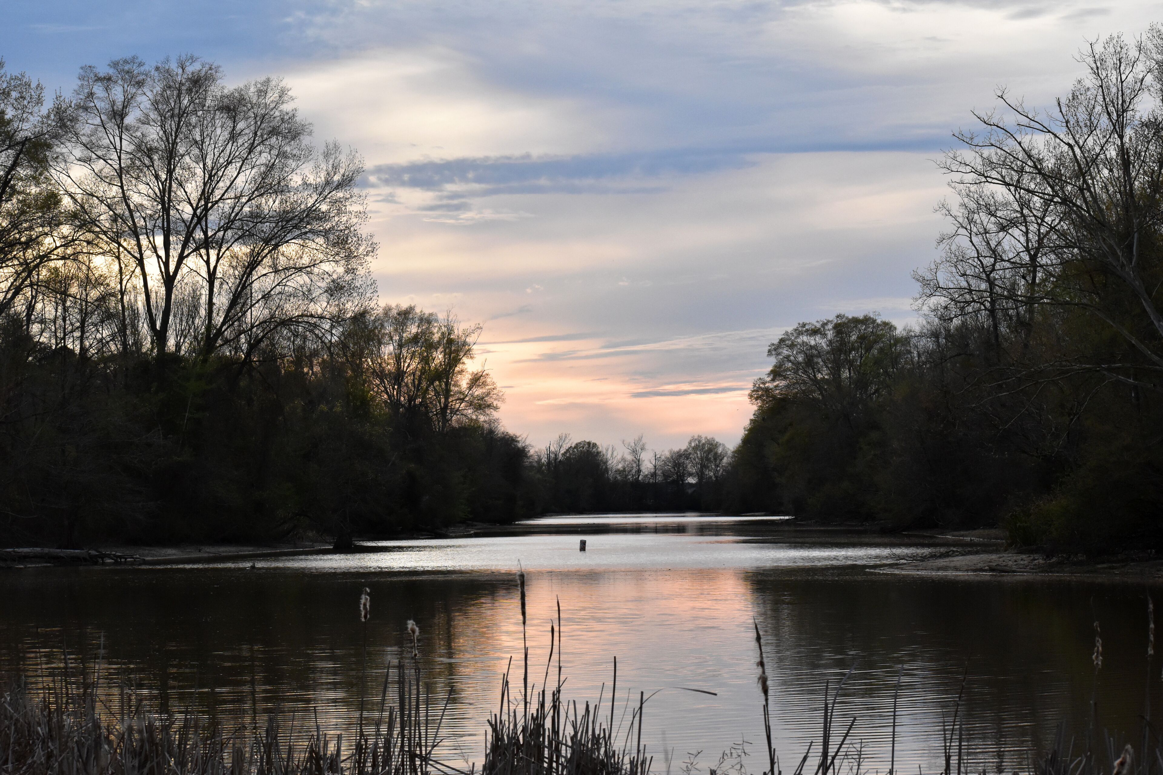 pearl river view from pelahatchie bay