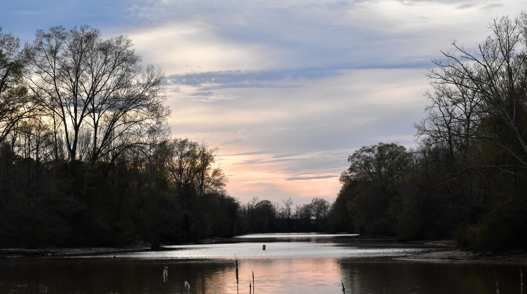 pearl river view from pelahatchie bay