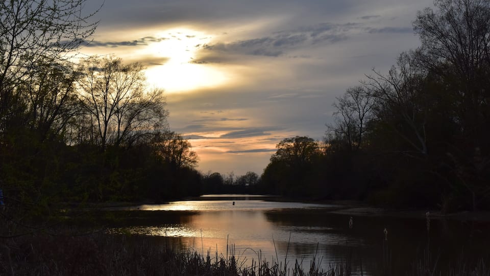 A calm river surrounded by trees during sunset.