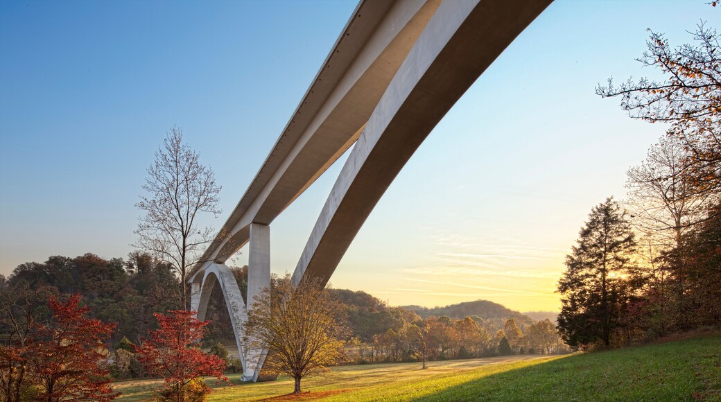 North Jackson – Ridgeland