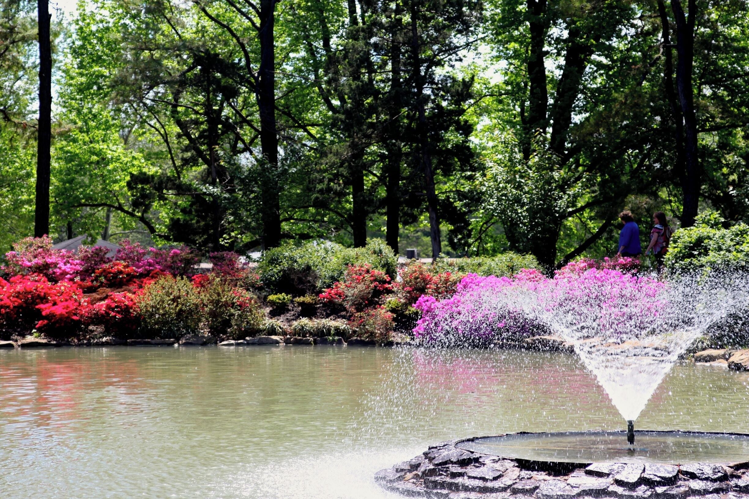 The park is lovely, with a great playground for the kids, so it is a nice place to visit year round.  
Heights Park hosts an azalea festival every April and that is my favorite time in the park.   The festival has included in the past; a plant sale from a local grower, buggy rides, art show, and even an orchestra.  Snowcones and other treats are available.  It is a great place to spend a day with family and friends.