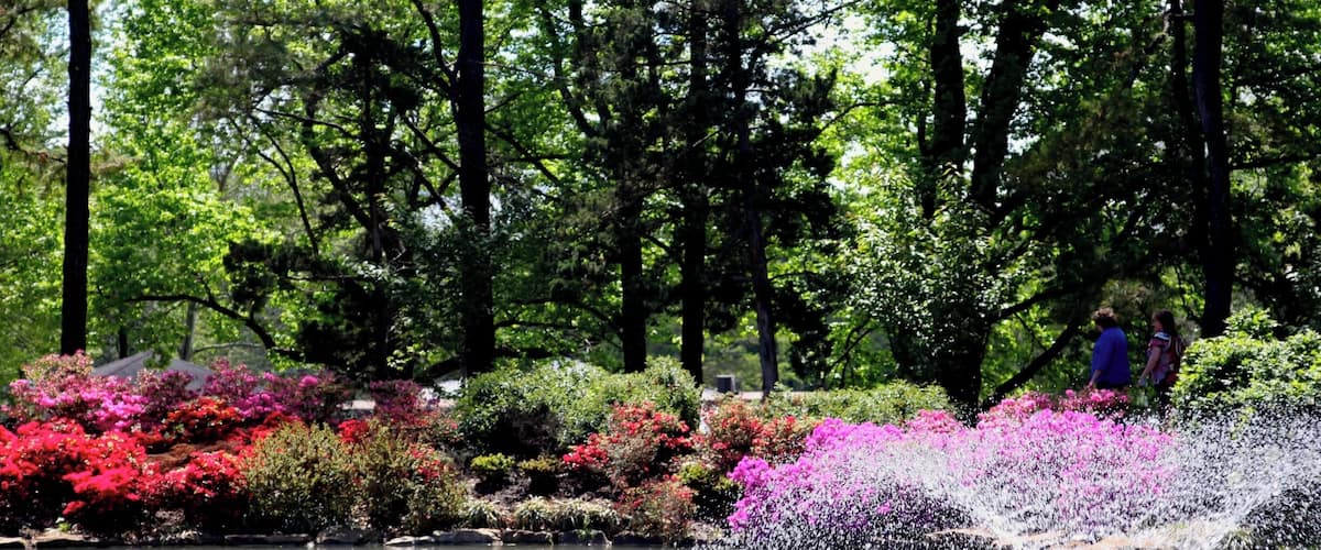 The park is lovely, with a great playground for the kids, so it is a nice place to visit year round.  
Heights Park hosts an azalea festival every April and that is my favorite time in the park.   The festival has included in the past; a plant sale from a local grower, buggy rides, art show, and even an orchestra.  Snowcones and other treats are available.  It is a great place to spend a day with family and friends.
