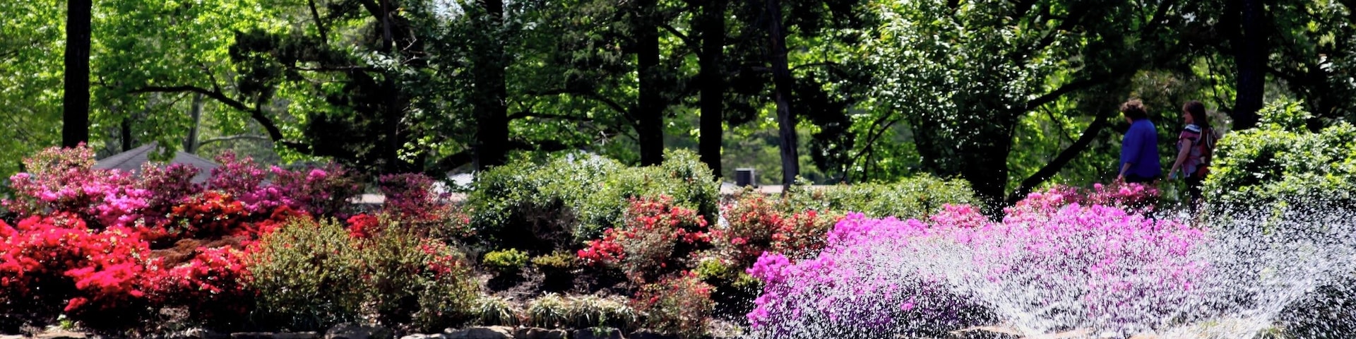 The park is lovely, with a great playground for the kids, so it is a nice place to visit year round.
Heights Park hosts an azalea festival every April and that is my favorite time in the park. The festival has included in the past; a plant sale from a local grower, buggy rides, art show, and even an orchestra. Snowcones and other treats are available. It is a great place to spend a day with family and friends.