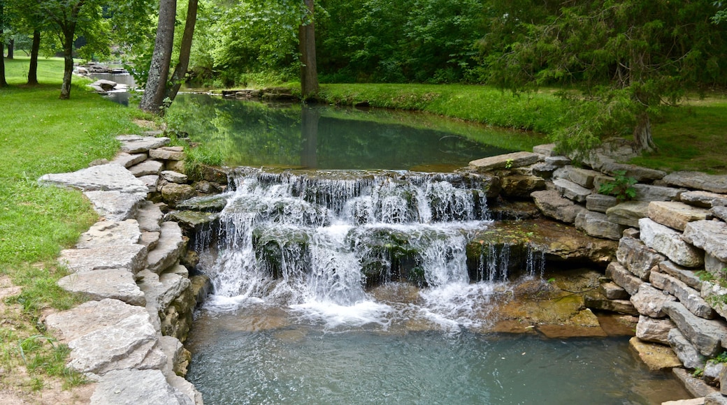 A small waterfall cascading over rocks into a clear pool, surrounded by lush greenery and trees.