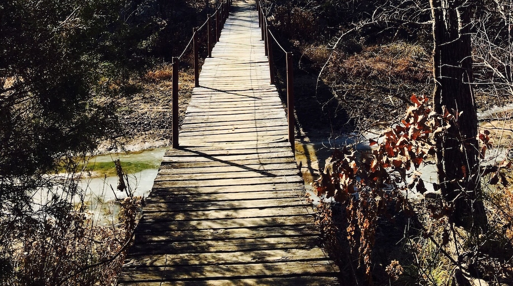 Miles of Wooded hiking trails that surround the lake.