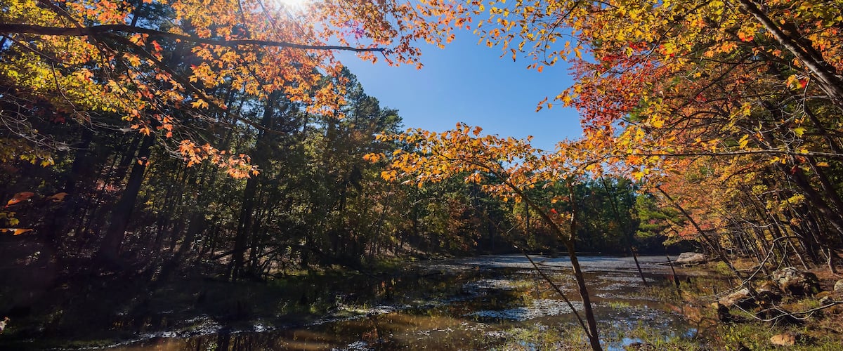 Nature autumn fall color of Robbers Cave State Park