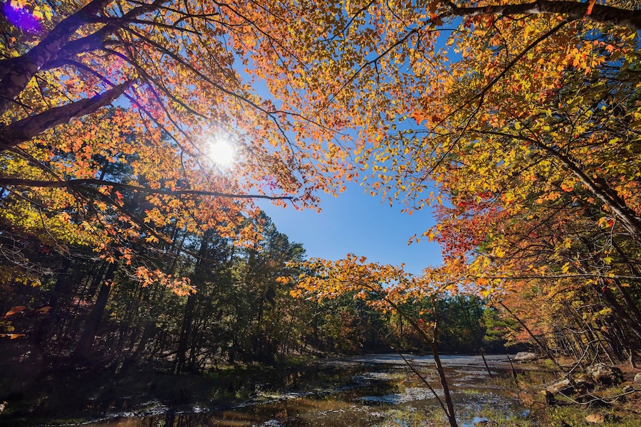Nature autumn fall color of Robbers Cave State Park