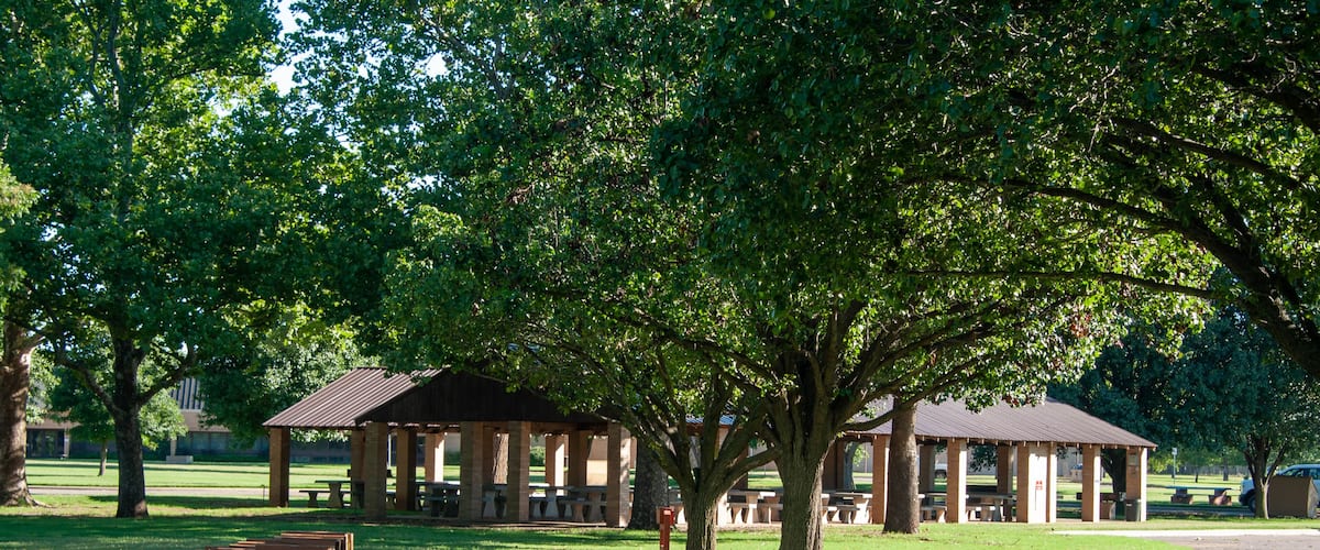 A park with picnic shelters, a large tree, and a grassy field.