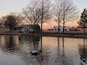 This is the pond at Ackley Park in Elk City. The moon is the Full Snow Moon reflecting in the pond. Ackley Park has a carousel and miniature golf, and fishing is allowed in the pond for youngsters.