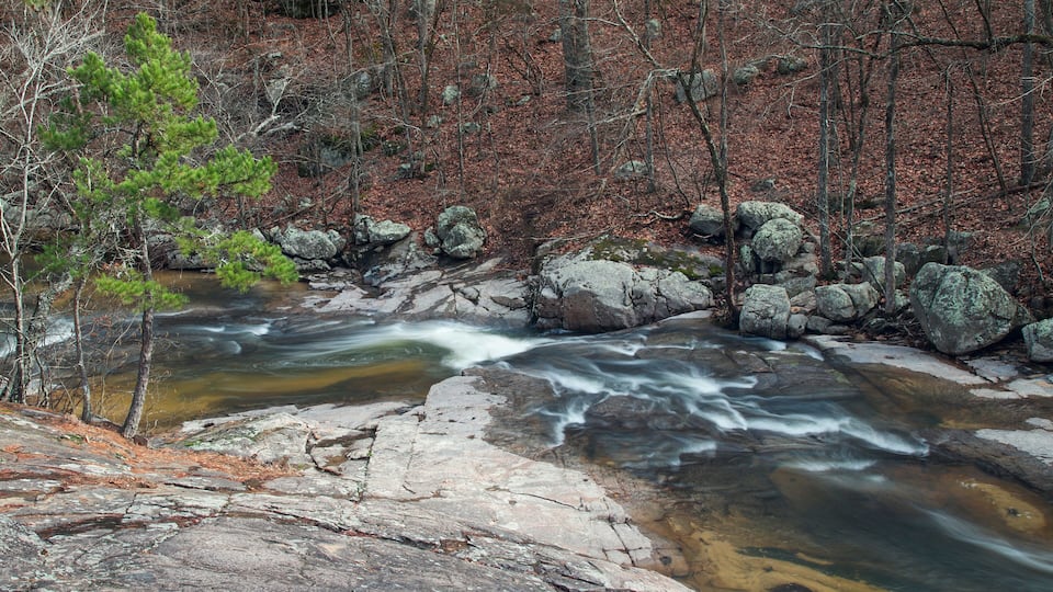 A river flowing through a rocky terrain with trees and fallen leaves.