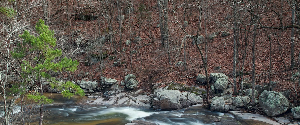 A river flowing through a rocky terrain with trees and fallen leaves.