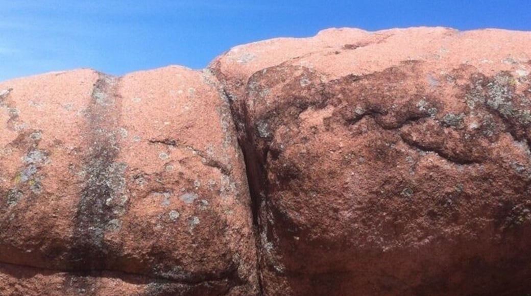 Elephant Rocks State Park is located in Missouri. The rocks are made from a red granite and they look like huge pachyderms!
