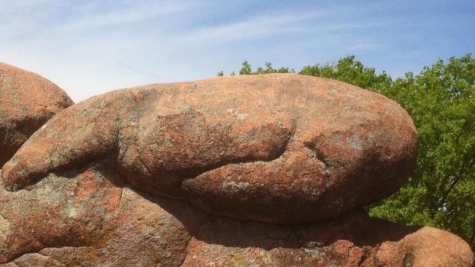 A large, reddish-brown rock formation with a smooth, rounded surface and a unique, intertwined shape.