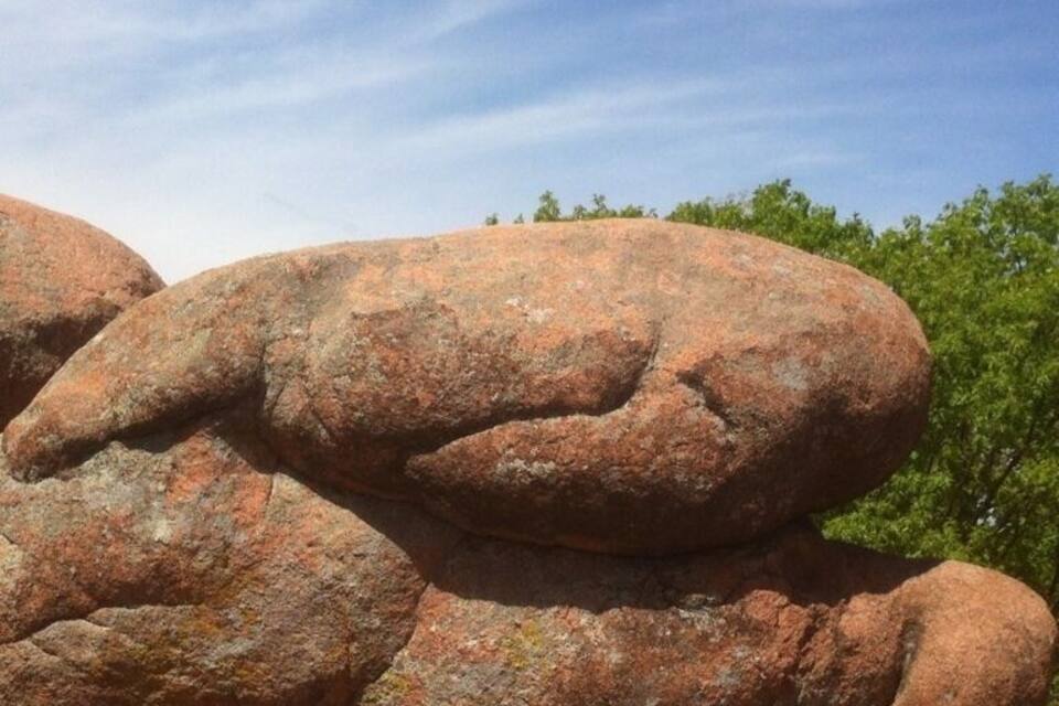 A large, reddish-brown rock formation with a smooth, rounded surface and a unique, intertwined shape.