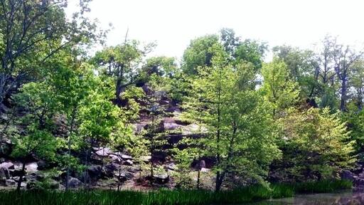 An old granite quarry that has filled with water. An beautiful spring hike around the lake got me this picture