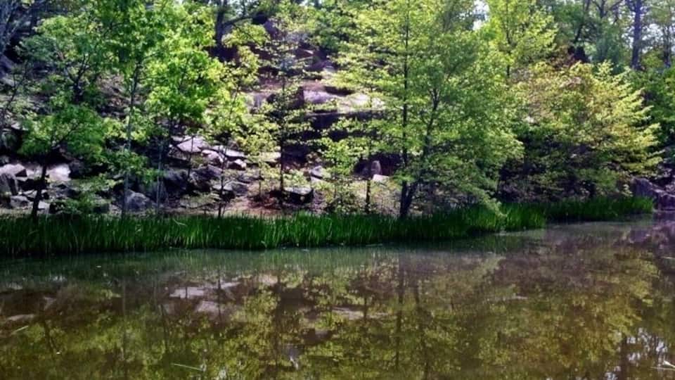 A calm pond surrounded by lush green trees and rocky terrain.