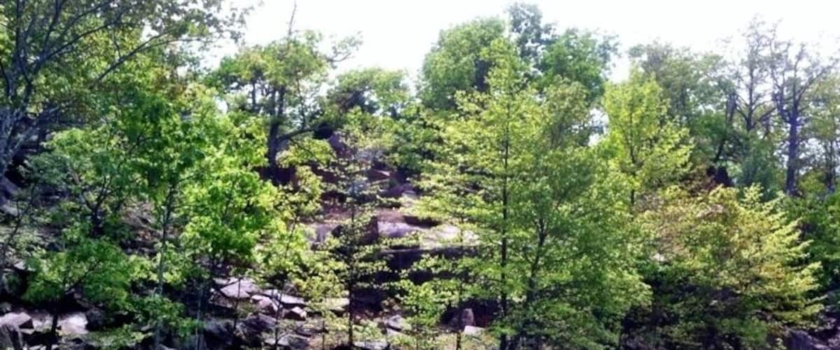 An old granite quarry that has filled with water. An beautiful spring hike around the lake got me this picture