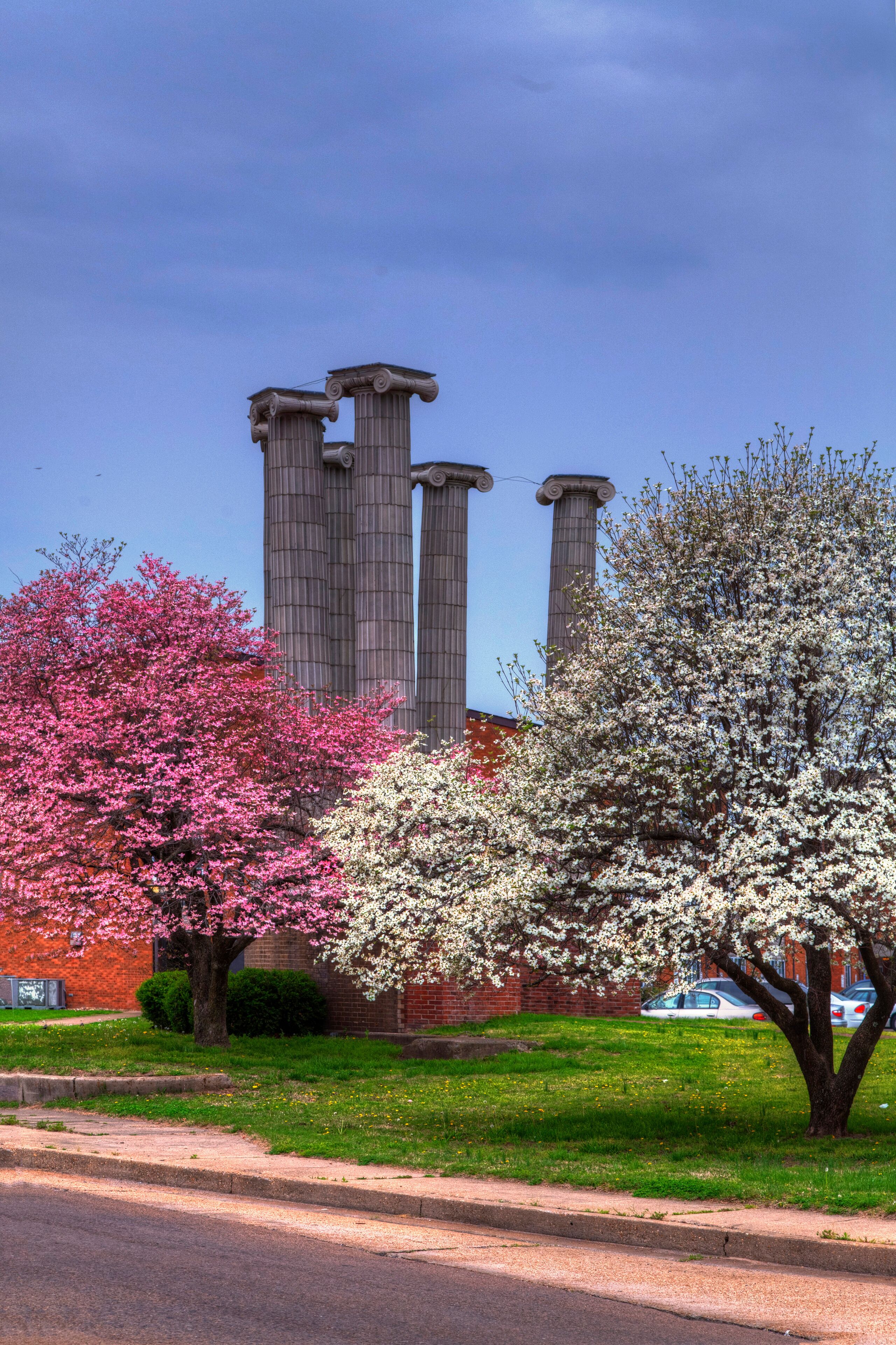 Columns and Dogwood Trees.  Columns from an old church surrounded by colorful dog wood trees in full bloom 