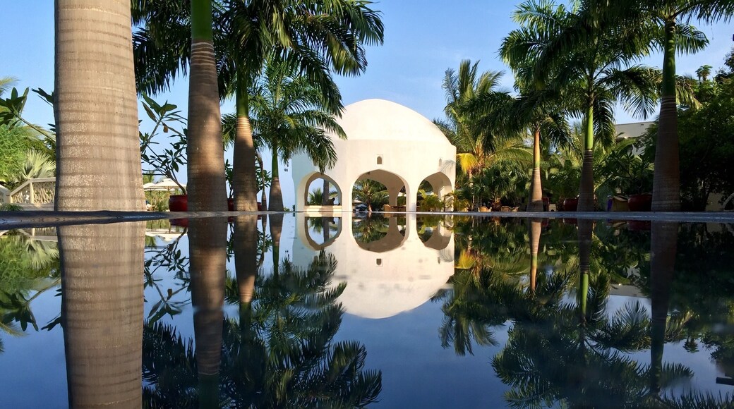 Reflection
#colorful