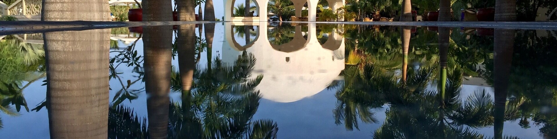 A reflective pool with palm trees and a white building with arches.