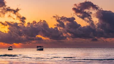 Bãi biển Diani